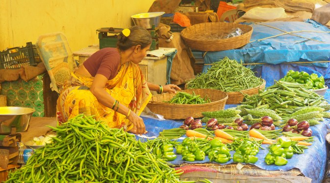L&rsquo;Inde, réponse de Jeanne aux CP St Radegonde