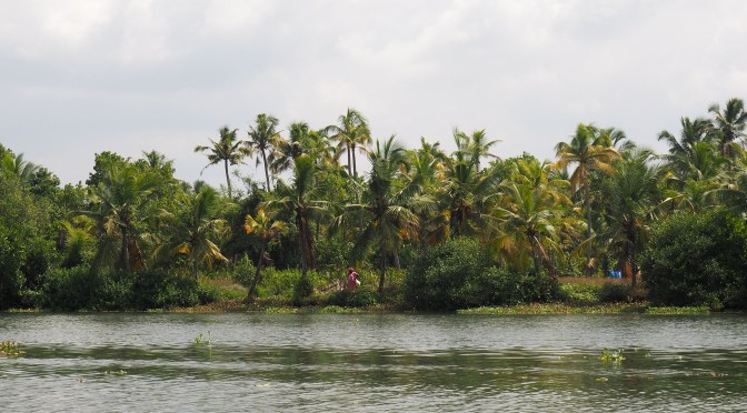 Kochi, les portes du Kérala