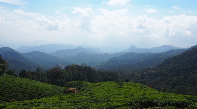 Sacado à la montagne indienne