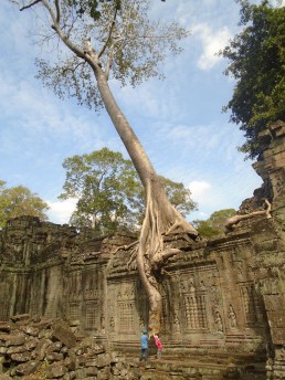Cambodge - Temples Angkor -
