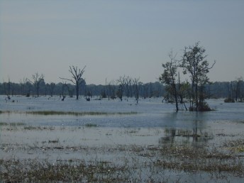 Cambodge - Temples Angkor -