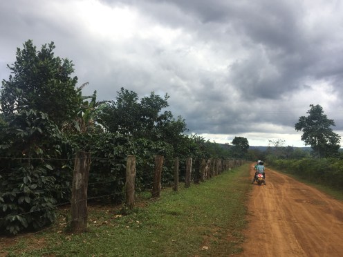Tour du monde en famille - Laos