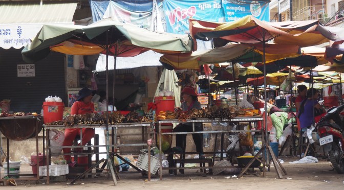 Kratie : première étape cambodgienne