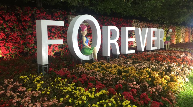 6 mois de voyage : déjà !