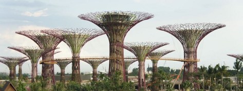 gardens-by-the-bay-a-singapour