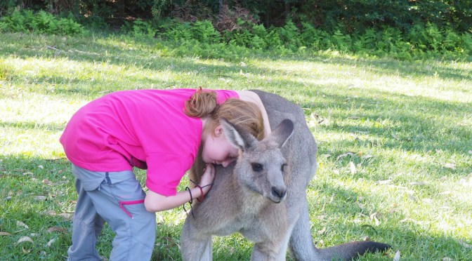 Le Kangourou par Jeanne