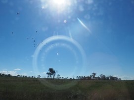 Australie - RoadTrip