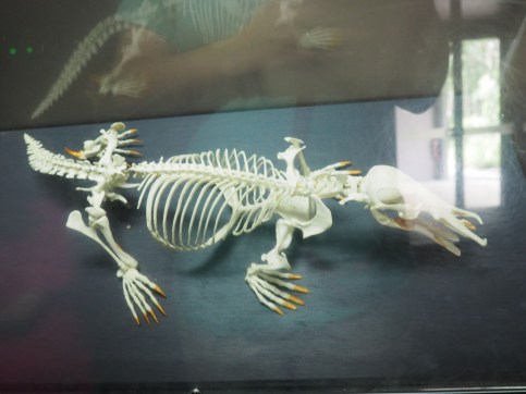 Australie - RoadTrip