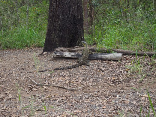 Australie - RoadTrip