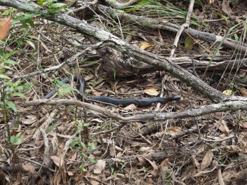 Australie - RoadTrip