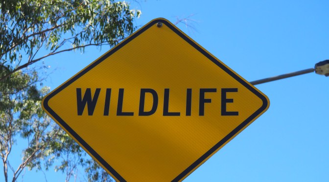 L&rsquo;Australie en chiffres