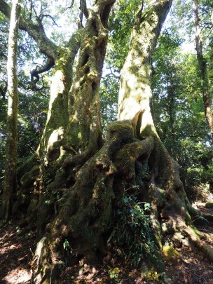 Australie - RoadTrip