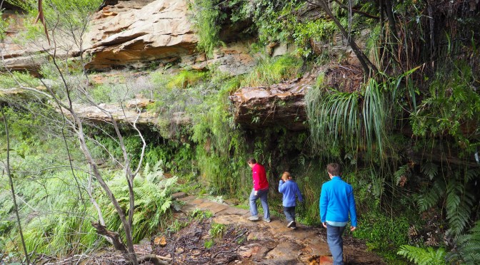RoadTrip Australie -2ème partie