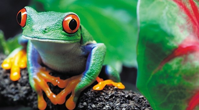 Costa Rica, notre programme intense