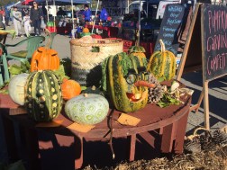 Nouvelle-Zélande Oamaru