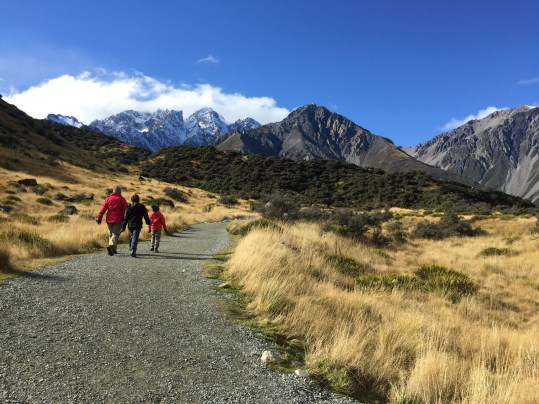 Nouvelle-Zélande Mont Cook
