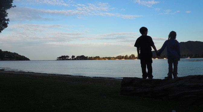 Nouvelle-Zélande, un début volcanique sur l’île du Nord