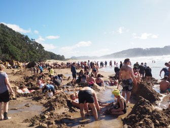 Nouvelle-Zélande - Sur les routes de l'ile du Nord