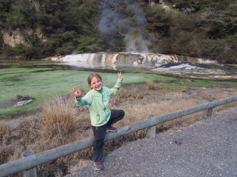 Nouvelle-Zélande - Sur les routes de l'ile du Nord