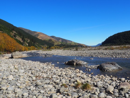 Nouvelle-Zélande Saint Arnaud
