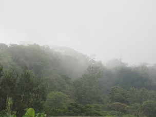 Costa Rica : Monteverde