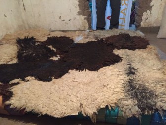 Bolivie : Cratère de Maragua - région de Sucre